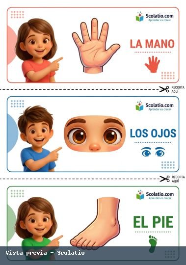 Portada de Manos Ojos Pie