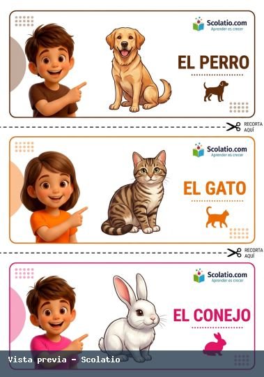 Portada de Perro Gato Conejo