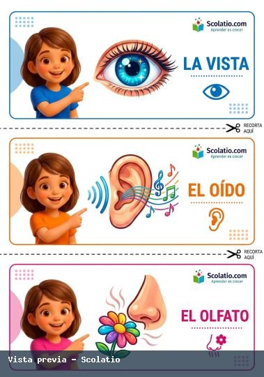 Portada de Vista Oido Olfato
